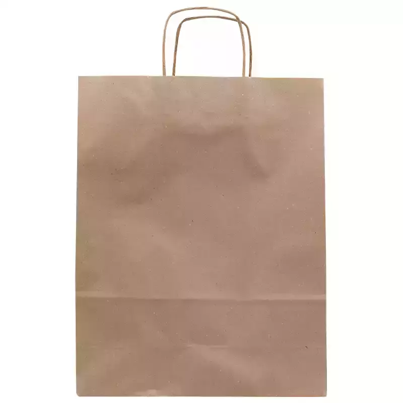 Esmer Kraft Kağıt Çanta Büyük 32x12x41cm 25li - 1