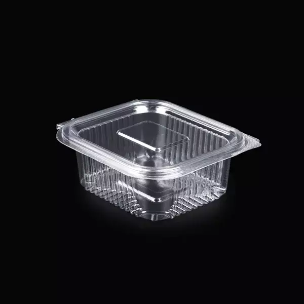 Holopak 250 CC Sızdırmaz Kap 1000'li Gıda Kabı H-602 - 1